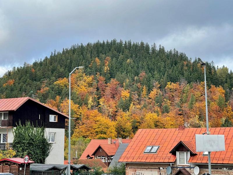 Apartamenty SZUMiWODA - image 13