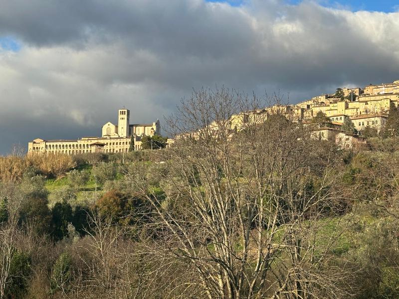 Hi Ostello Della Pace Assisi - image 42