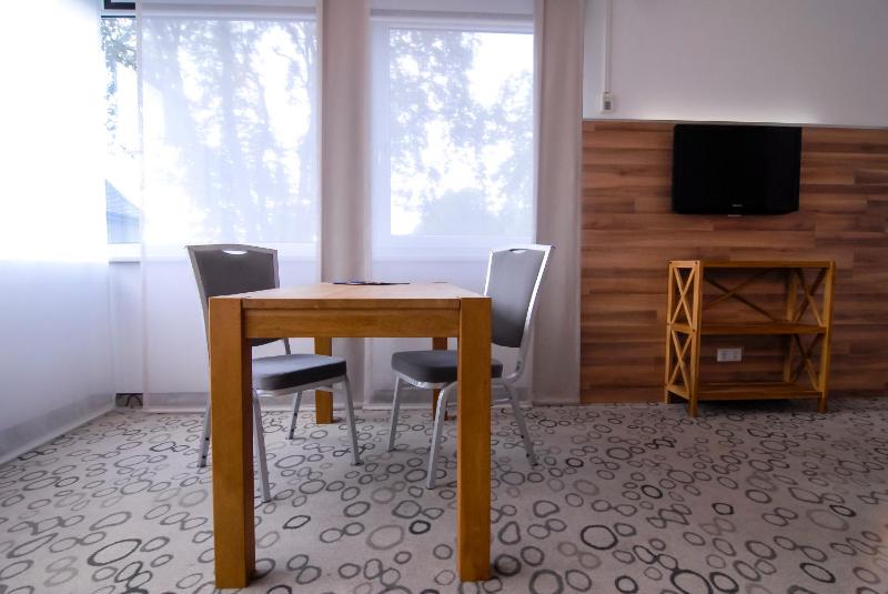 Business Plus Apartment image 3