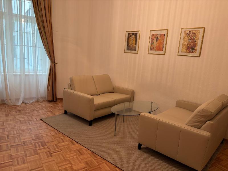 One-Bedroom Apartment image 4