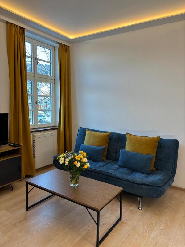 Premium One-Bedroom Apartment image 3