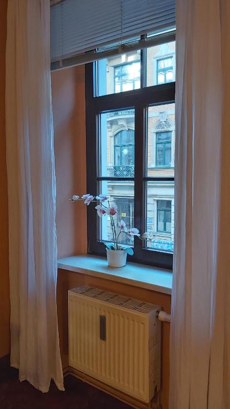 City - Domicile  image 2
