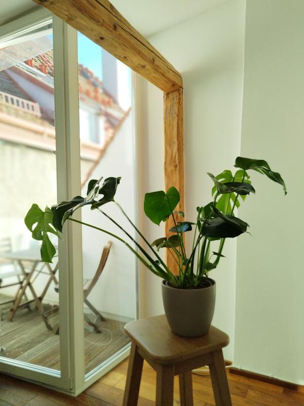 Goldene Pastete - Boutique Apartments City Center Graz - image 12