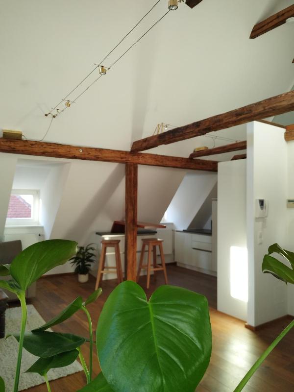 Goldene Pastete - Boutique Apartments City Center Graz - image 6