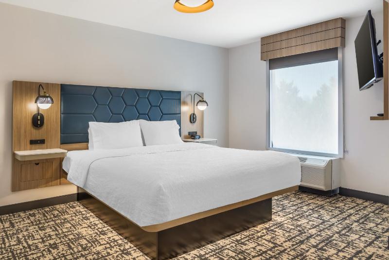 One-Bedroom King Suite with Sofa Bed - Non-Smoking image 3