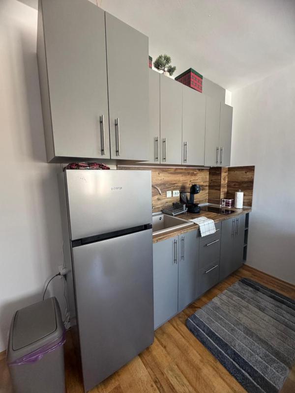 Mountain View Lux Apartment - image 18