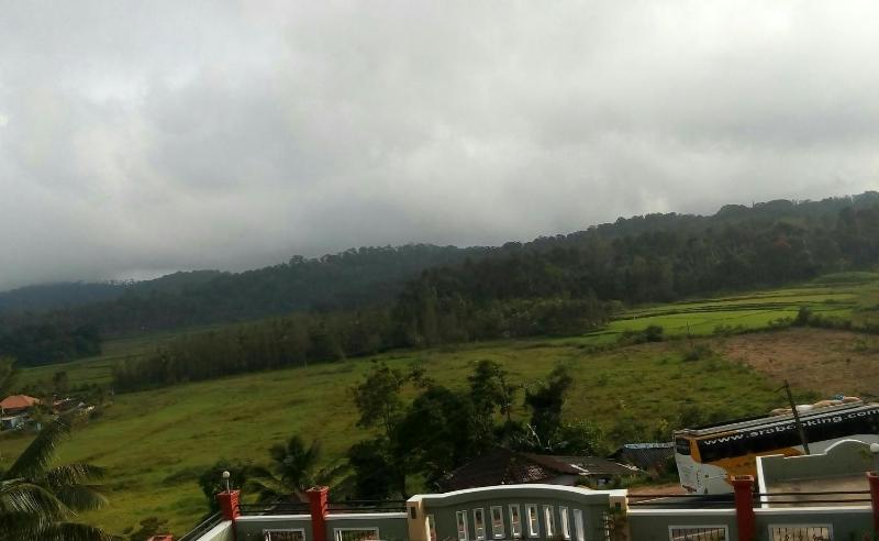 Green Villa - image 2
