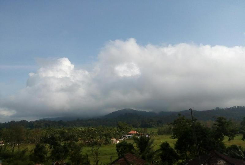 Green Villa - image 6