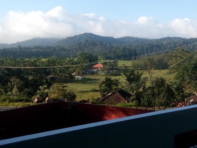 Green Villa - image 16