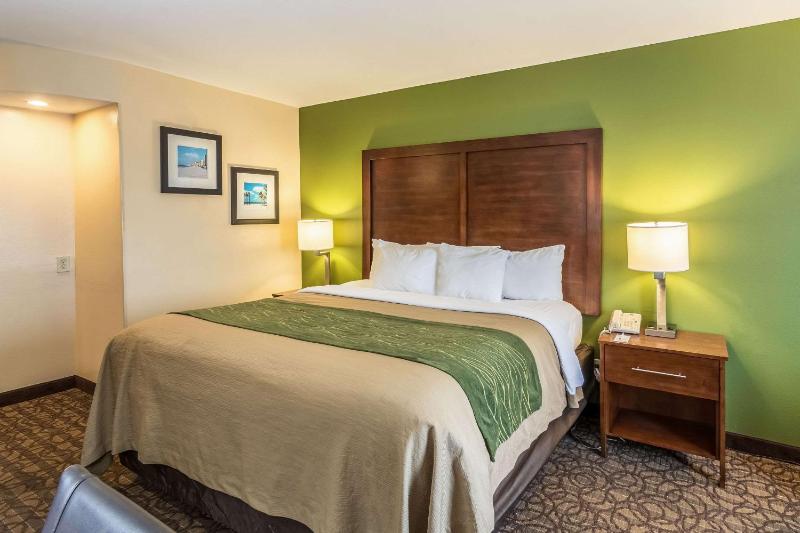 Standard King Room - Non-Smoking  image 4