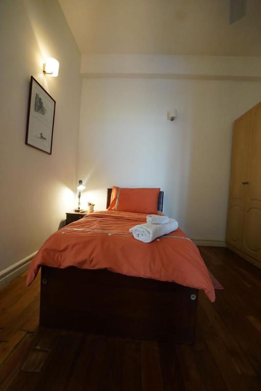Spacious Colombo 7 apartment by the park - image 12
