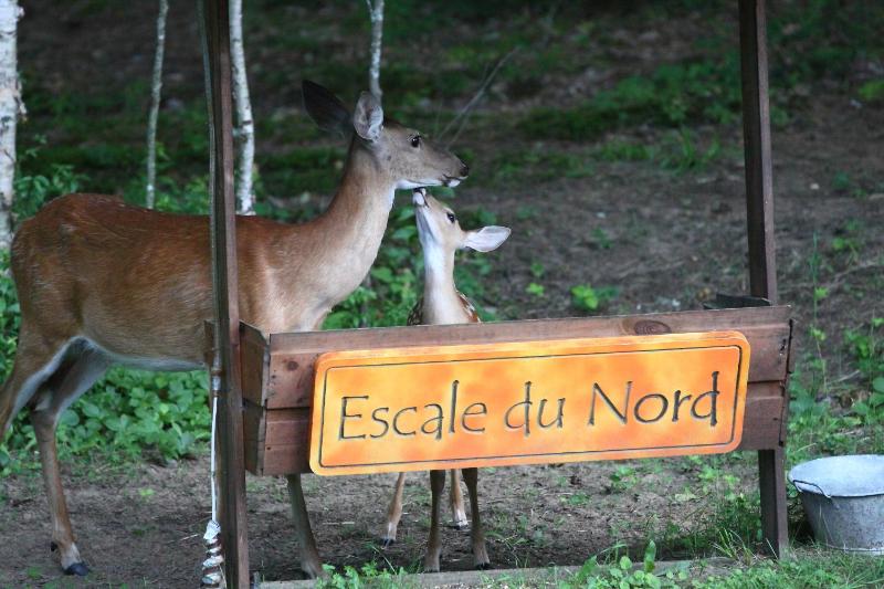 Gîte Escale du Nord - image 23