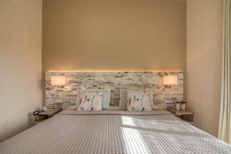 Deluxe Double Room image 1