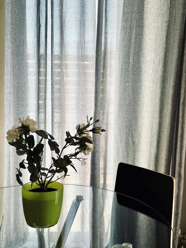 One-Bedroom Apartment image 1