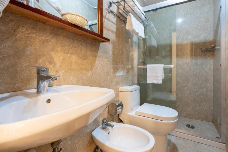 Standard Twin Room image 4