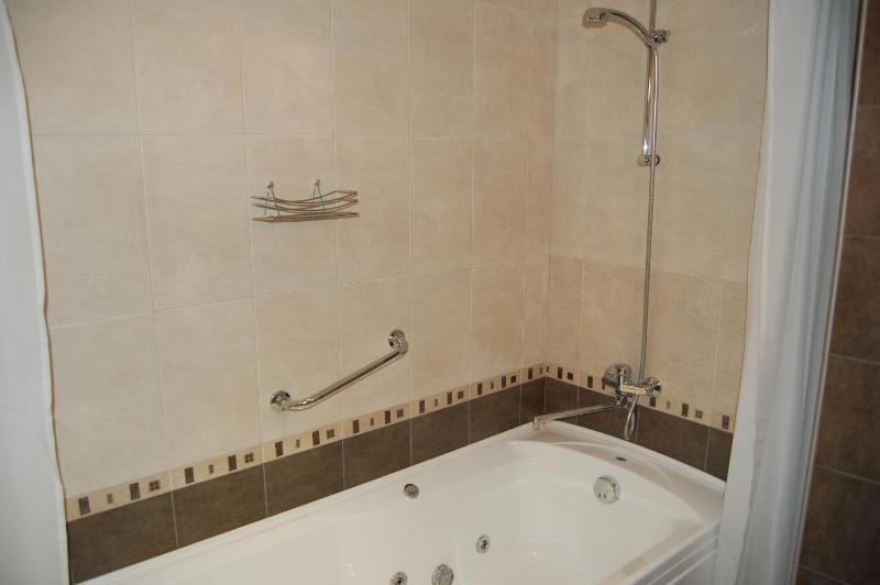 Deluxe One-Bedroom Suite image 3