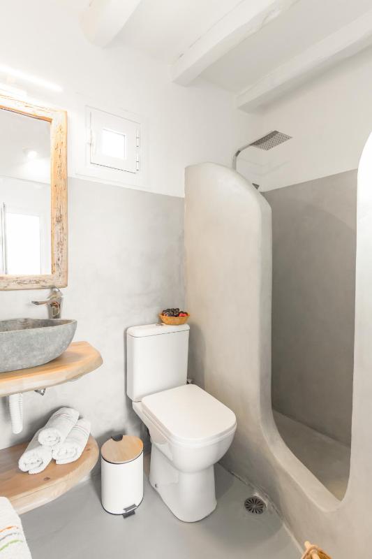 One-Bedroom Apartment with Terrace image 4