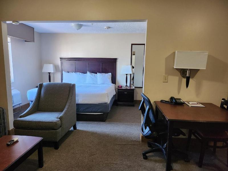 Deluxe King Room with Sofa Bed image 2
