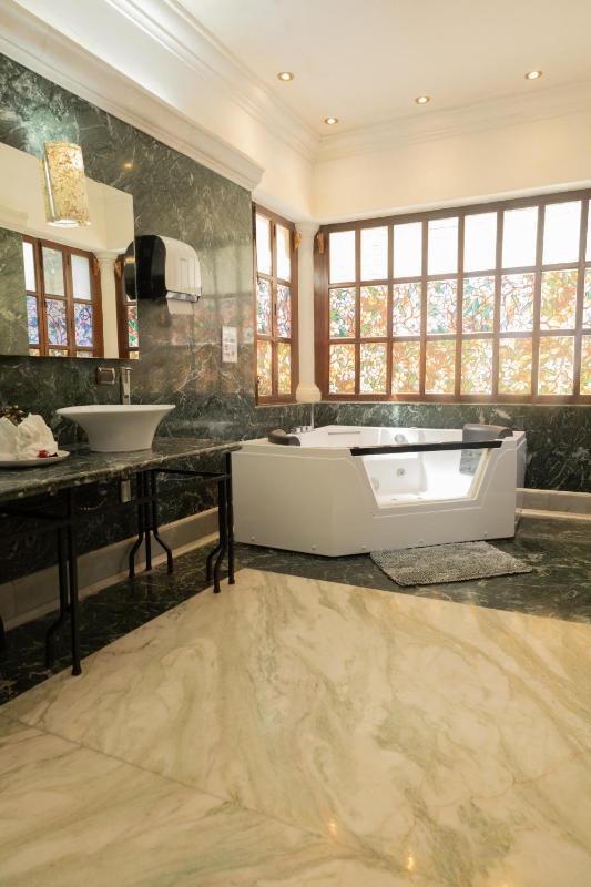 Indian Palace Hotel Boutique Spa & Restaurante - image 7