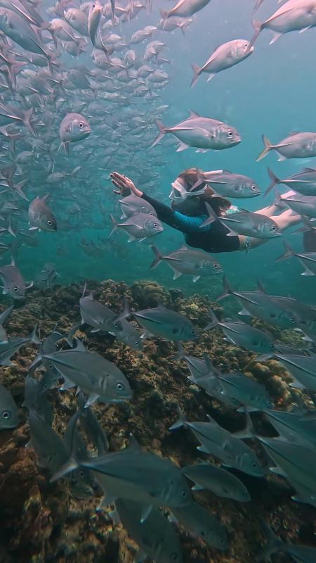 Bughaw Dive House - Anilao Mabini Batangas - image 7
