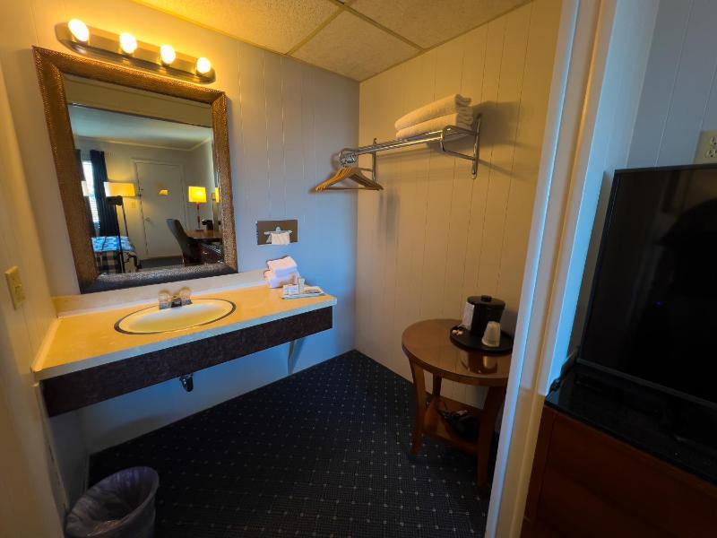Deluxe King Room image 2