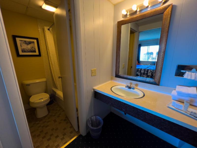 Deluxe King Room image 3