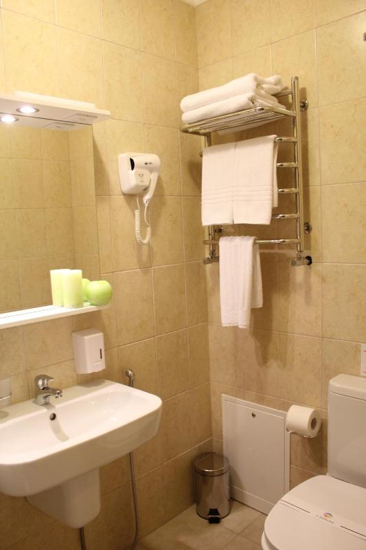Standard Double Suite image 4
