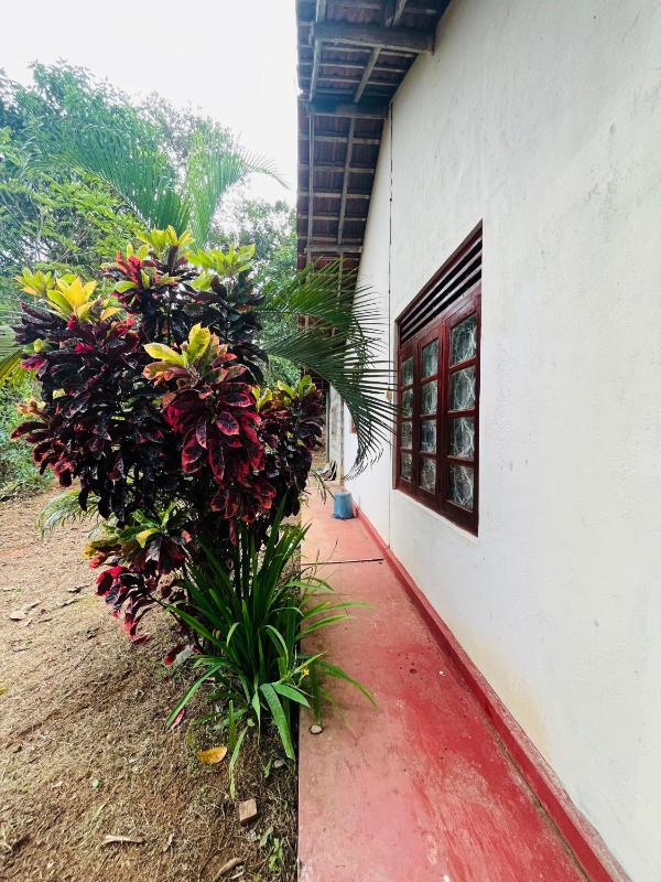 Villa Ceylonra - image 6