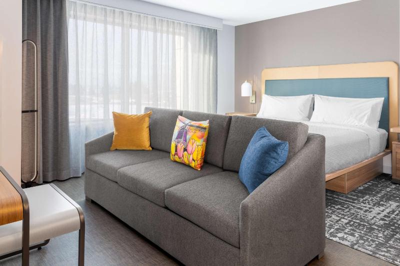 King Studio Suite image 1