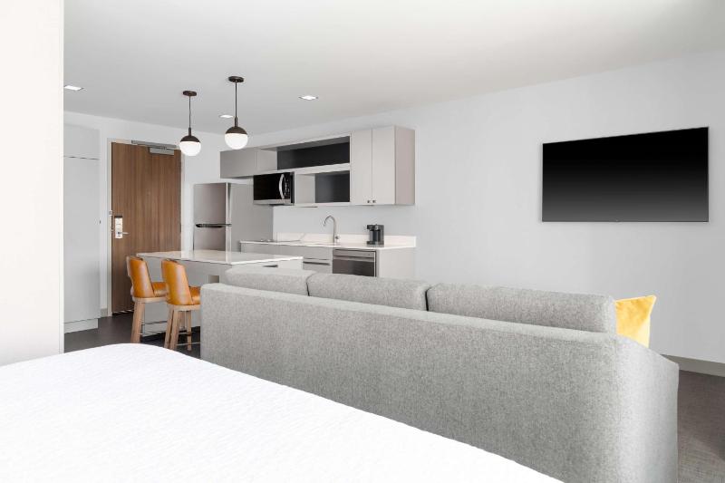 King Studio Suite image 4