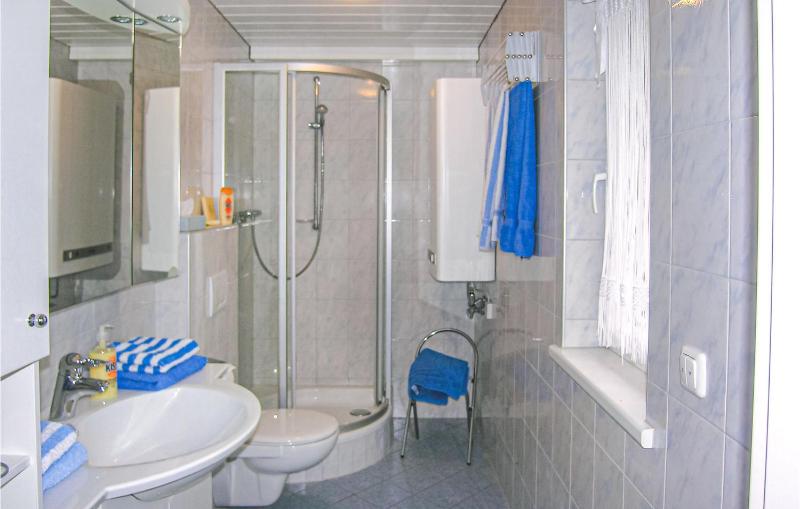 One-Bedroom Apartment image 2