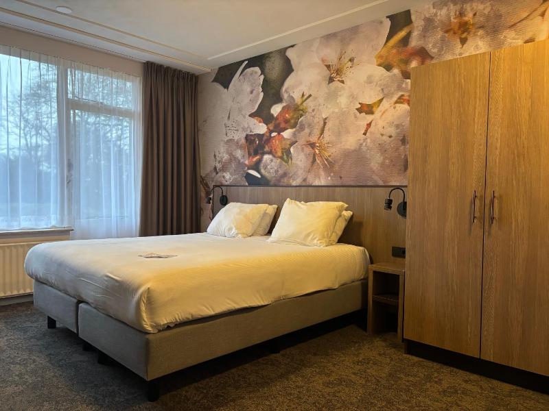 Suite image 3