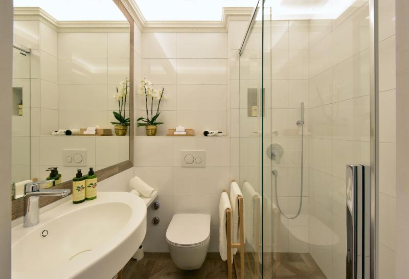 Superior Single Room with Lake View image 4