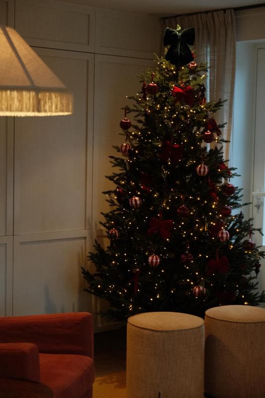 Hotel Villa Bonnie - image 35
