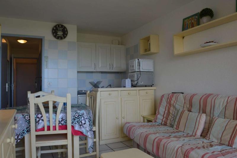 Agréable appartement situé dans un quartier calme SAINT CYPRIEN PLAGE SC050-040D - image 10