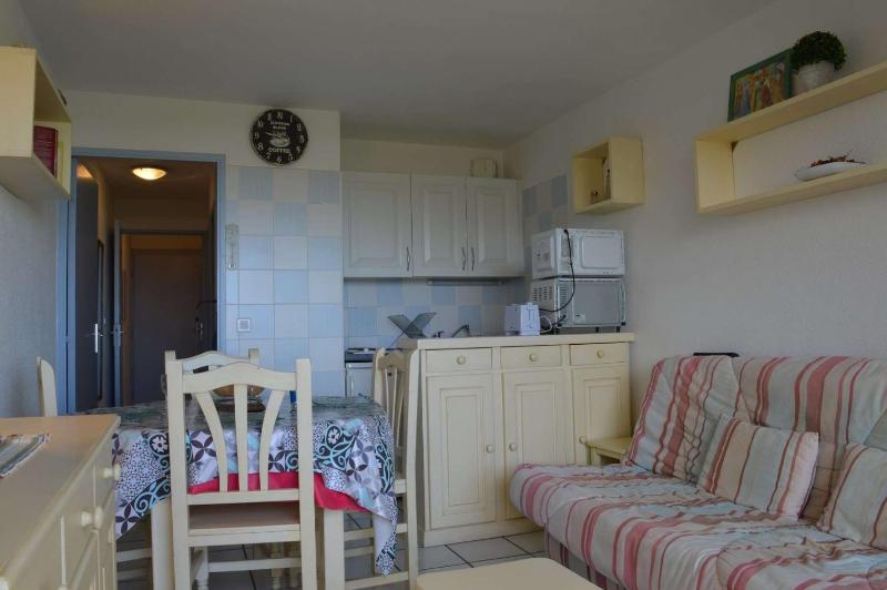 Agréable appartement situé dans un quartier calme SAINT CYPRIEN PLAGE SC050-040D - image 9