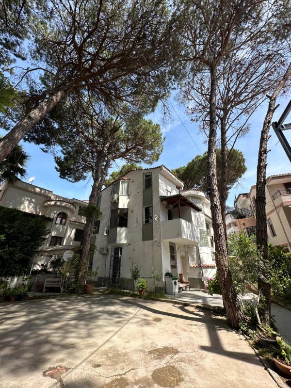Teo’s Apartment - image 15