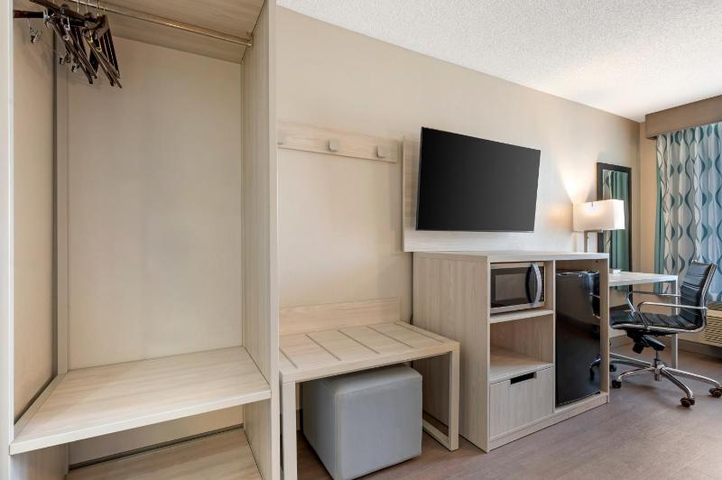 King Room image 1