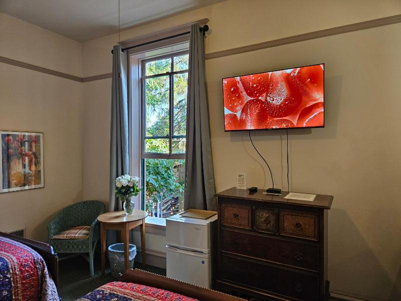 Double or Twin Room image 3