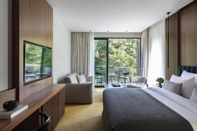 Double Room with Mountain View image 4