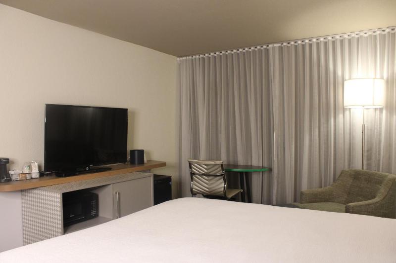 King Studio Suite - Non-Smoking image 4