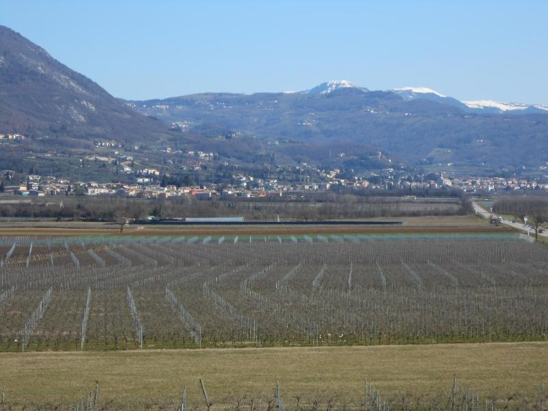 Albergo Villa Eva - image 45
