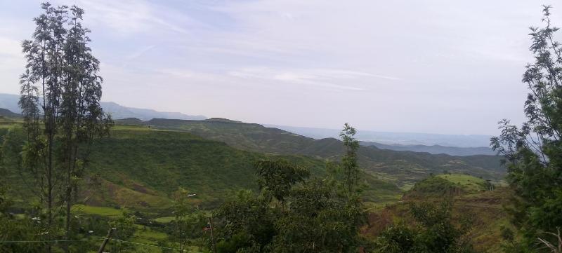 Amba Lodge Lalibela - image 2