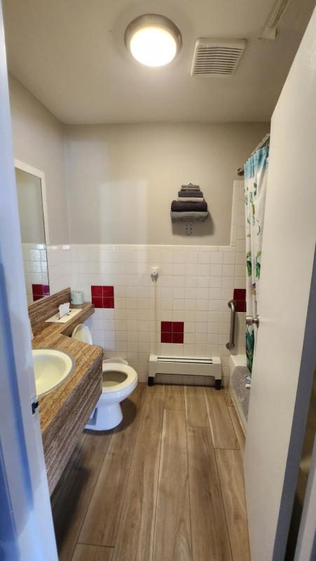 Deluxe King Room image 2