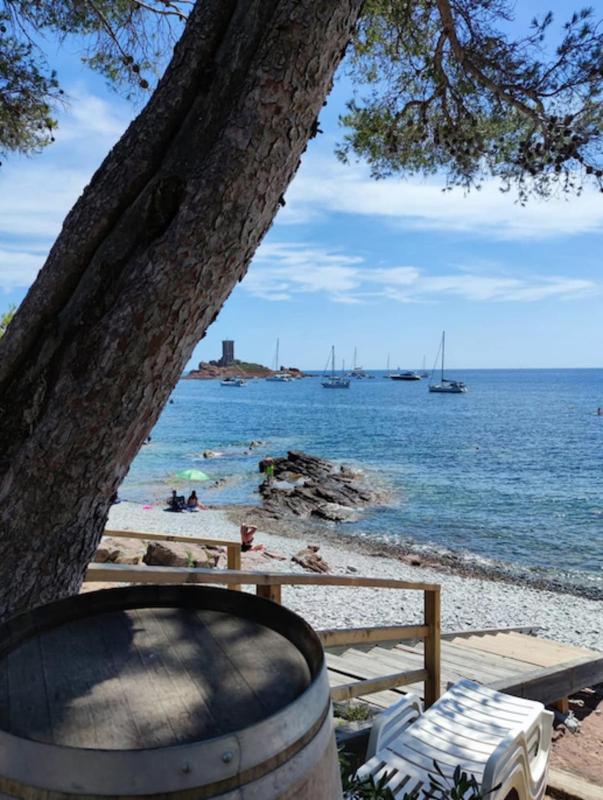 Charming T2 100 meters from the beach - image 19