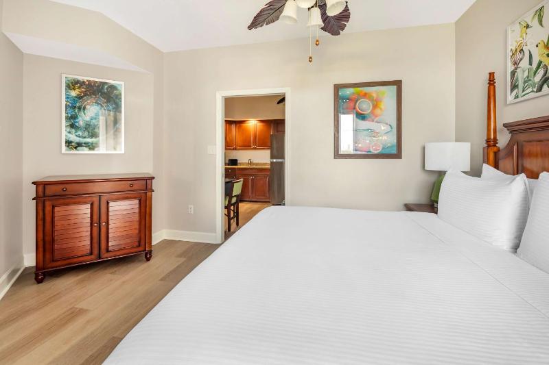 One-Bedroom King Suite image 1