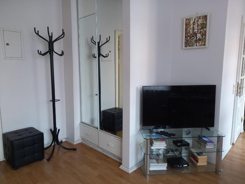 One-Bedroom Apartment image 4