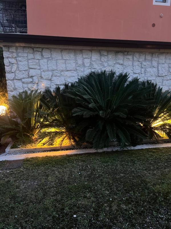 Casa Elite - image 29