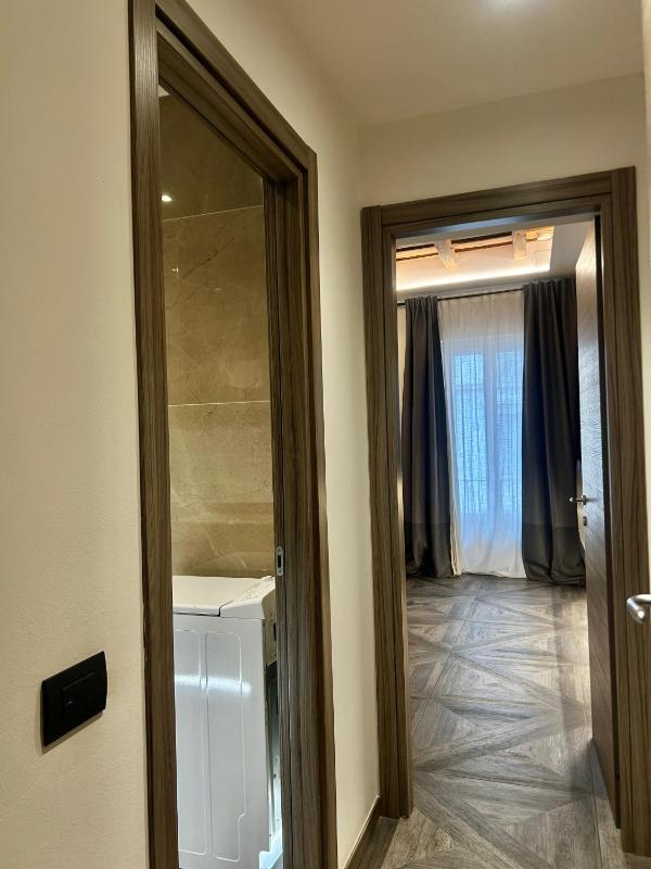 Deluxe Apartment image 3