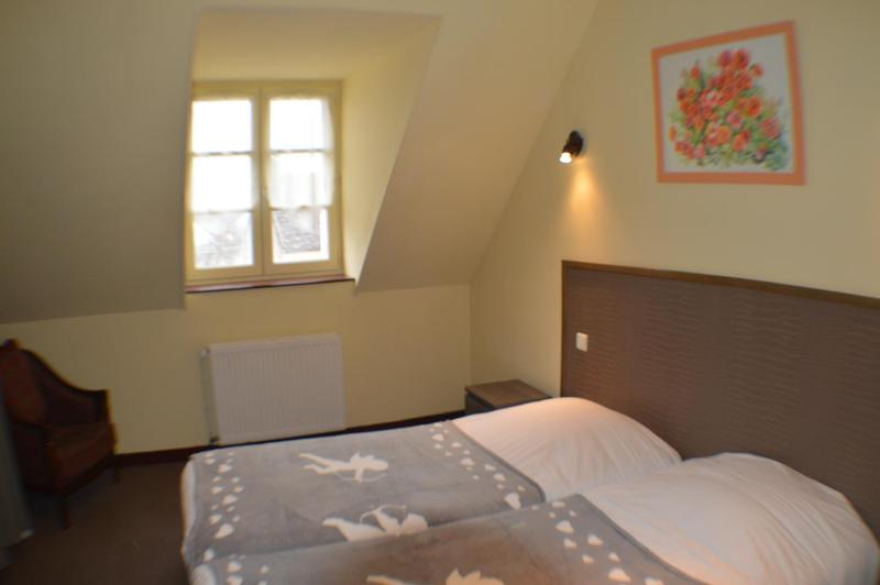Standard Twin Room image 3